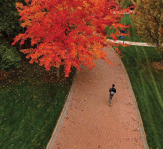 パセリーニが就任式で来場者に手を振る様子。